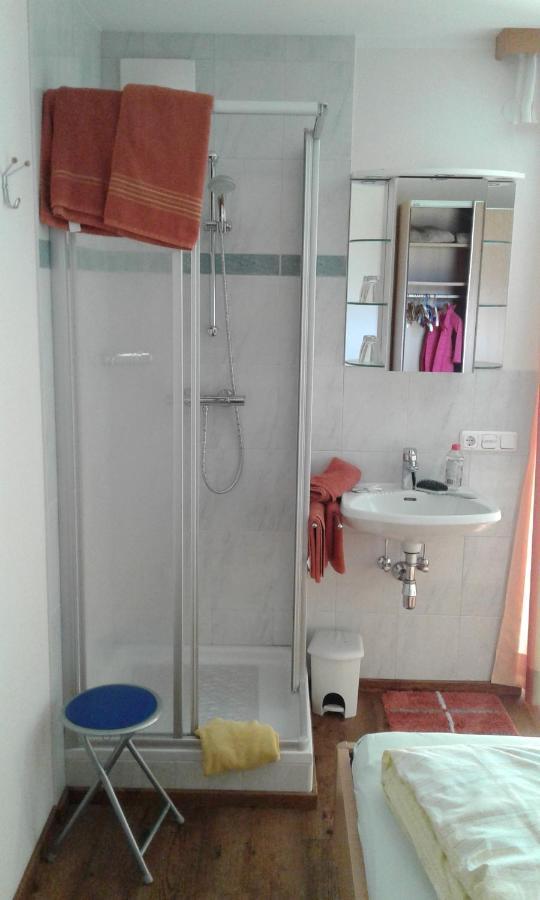 Appartment Steger Klara Mittersill Esterno foto